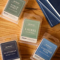 Porch Party Wax Melt -Deals Home Avenues Store B8D9BA56 0583 48F9 ACAC 5629C55F71A6