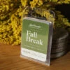Fall Break Wax Melt