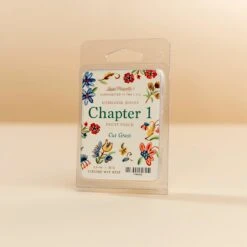 Chapter 1 - Front Porch Wax Melt -Deals Home Avenues Store Chapter 1 Front Porch Wax Melt 00004