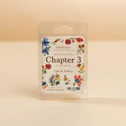 Chapter 3 - Living Room Wax Melt