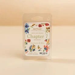 Chapter 7 - Bathroom Wax Melt