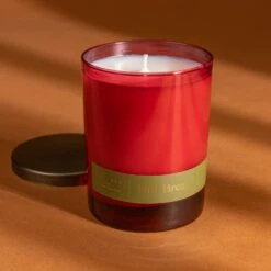 Fall Break Candle -Deals Home Avenues Store Fall Break 11 ounce Candle 00010