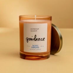 Deals Home Avenues Store -Deals Home Avenues Store Guidance 11 oz Candle 00004