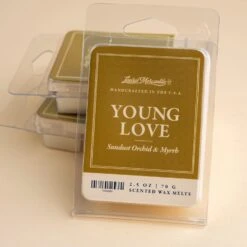 Young Love Wax Melt -Deals Home Avenues Store Young Love Wax Melt 00002